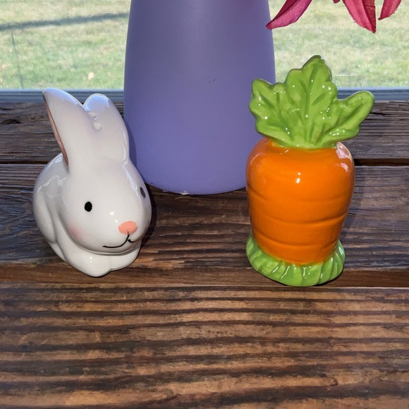 Boston Warehouse Other - Easter Bunny Rabbit and Carrot salt and pepper shakers NEW